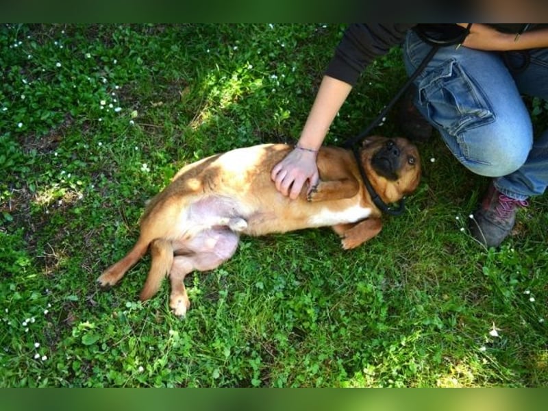 Monaldo - In der Ruhe liegt die Kraft!