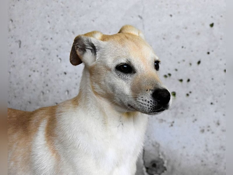 Elaro - gesucht: ein Post-it mit "Sicherheit"