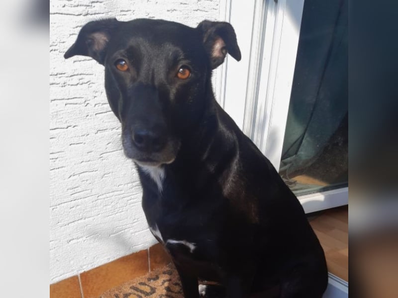 Taya - Manchmal hält das Glück nicht ewig Taya - Manchmal hält das Glück nicht ewig