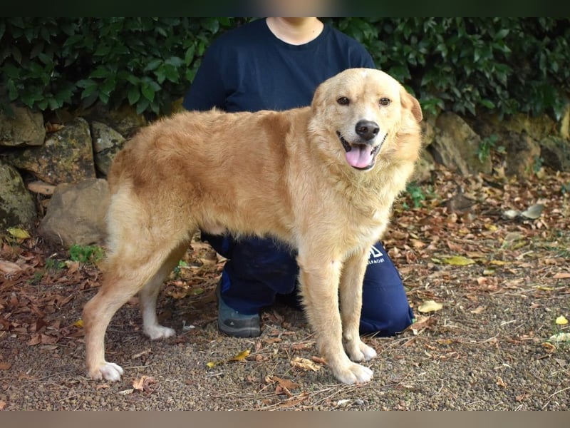 Gibble - Wie ein Wort, das auf der Zunge liegt ...