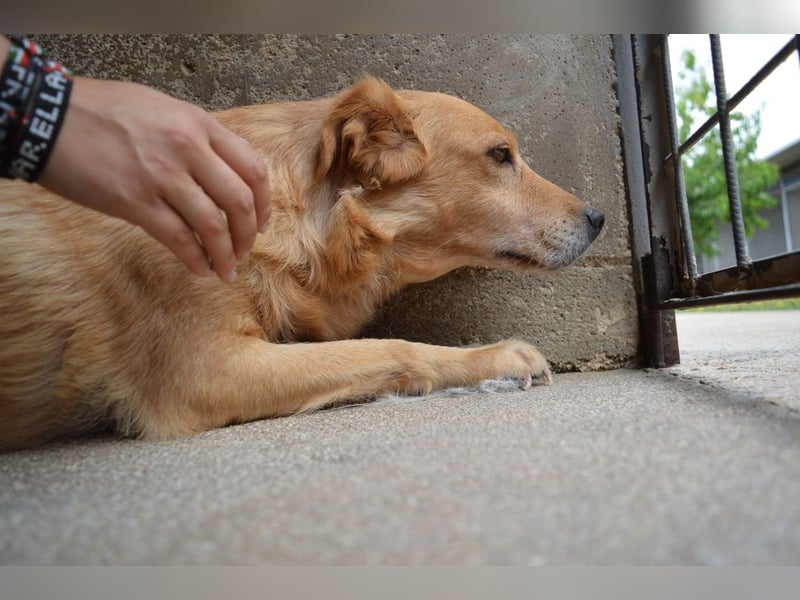 Ferelith - Was wäre, wenn....