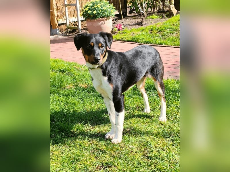 Zelia - Menschen zum Lachen bringen, das ist der Plan