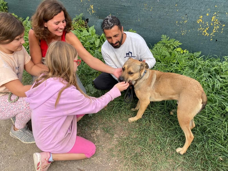 Faudor - Bist du die letzte Station meiner Odyssee?