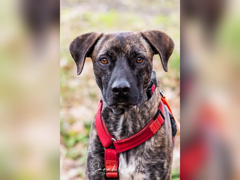 Branson - taut langsam auf und sucht Menschen mit Zeit