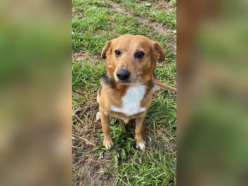 Sandokan - manches braucht ein Wunder