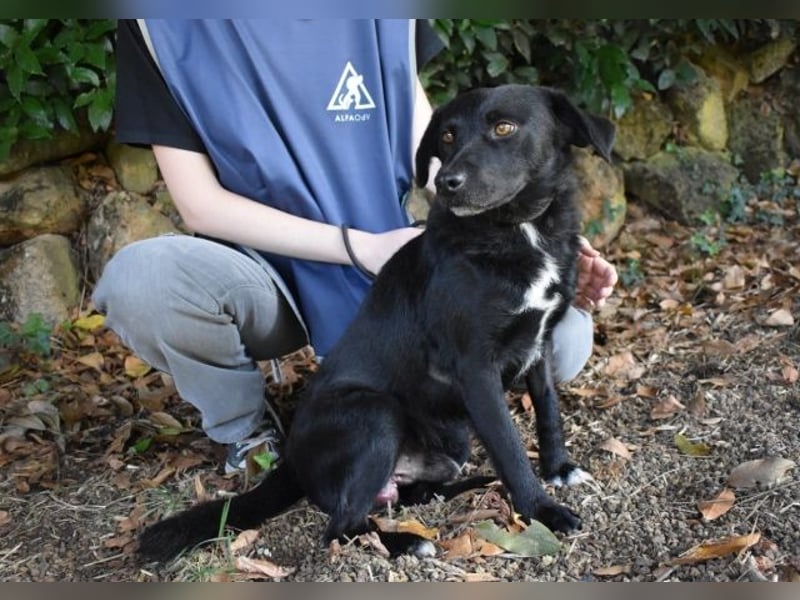 Rafeed - Möge der kleine Drache ihn beschützen