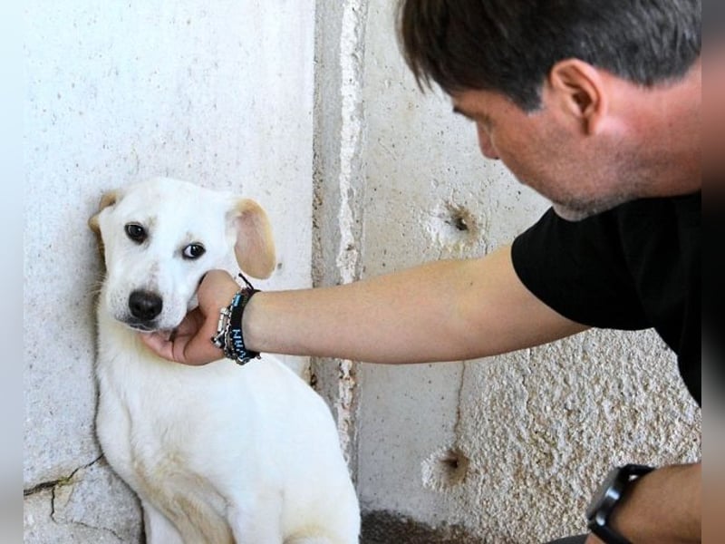 Radford - Ein Anfang, der nie kam