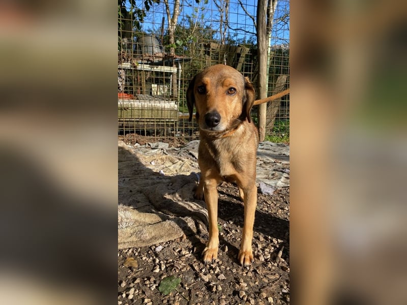 Kiro - Einmal alles auf (Neu)Anfang bitte!