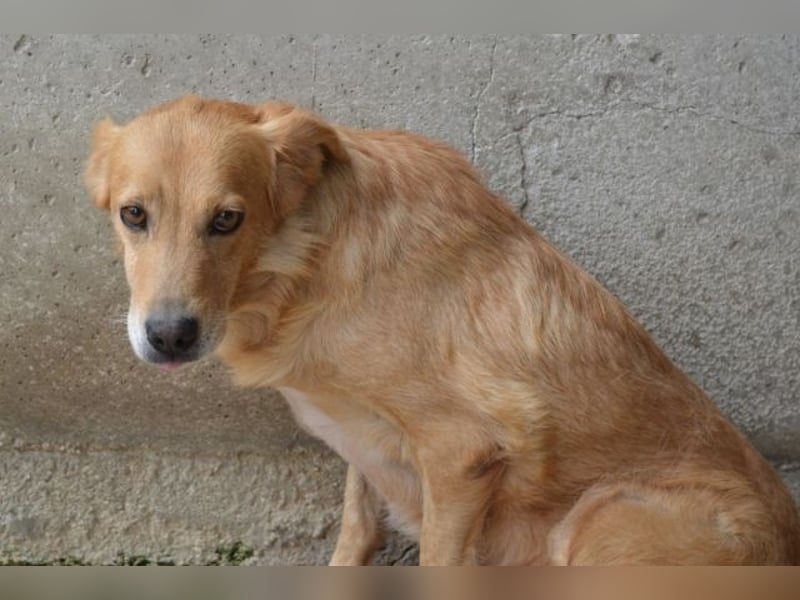 Ferelith - Was wäre, wenn....