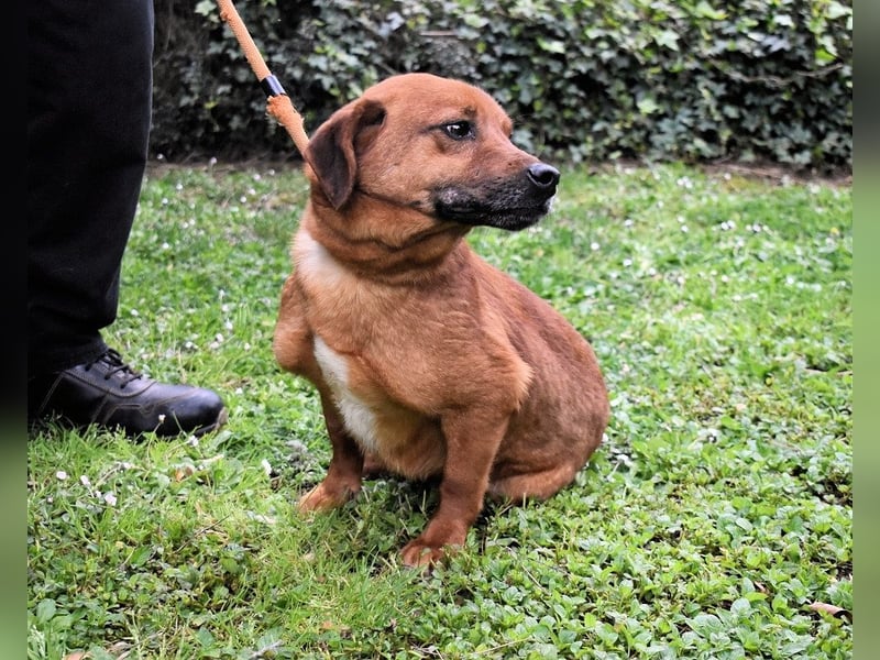 Monaldo - In der Ruhe liegt die Kraft!