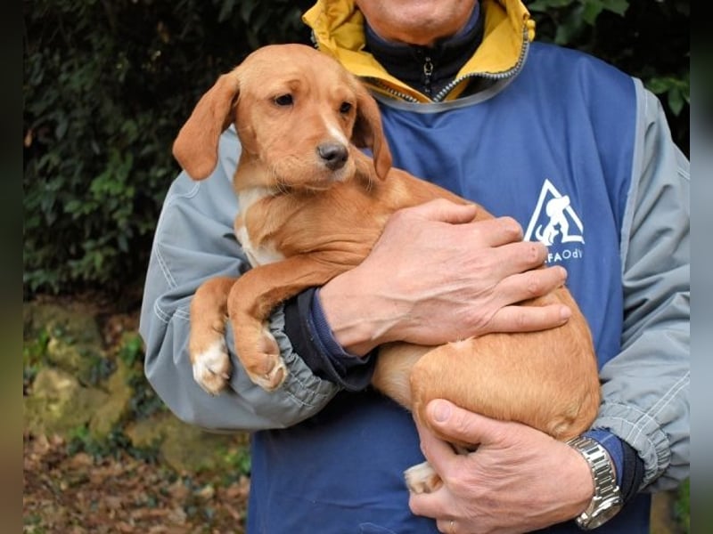 Wixelle - Als Mama noch bei uns war