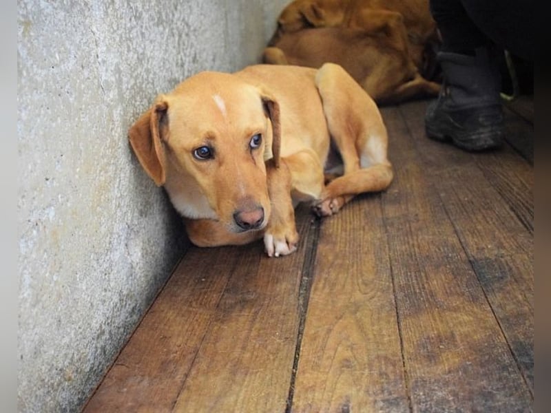 Bendix - wenn du mutig bist, dann bin ich es auch!
