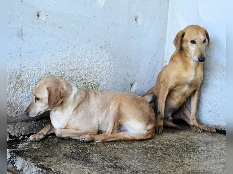 Bendix - wenn du mutig bist, dann bin ich es auch!