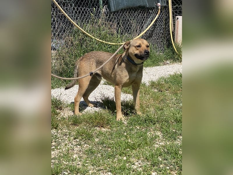 Faudor - Bist du die letzte Station meiner Odyssee?