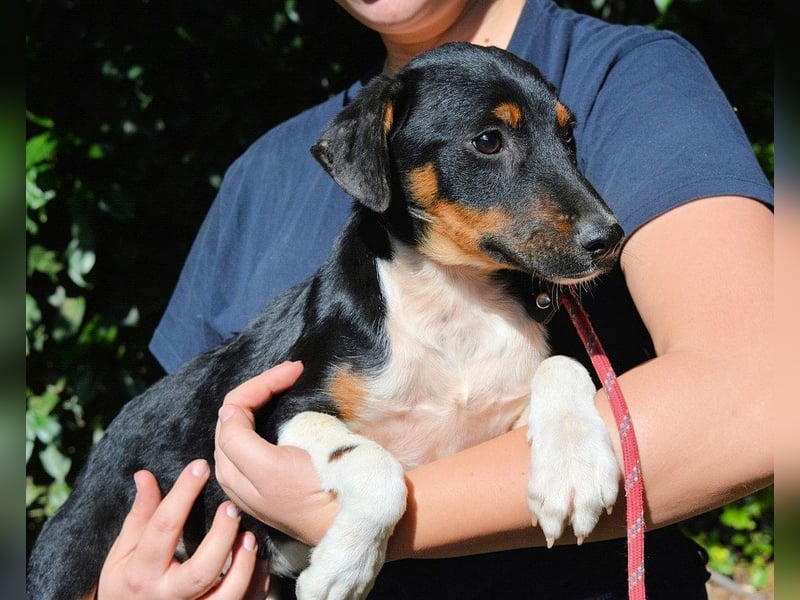 Zelia - Menschen zum Lachen bringen, das ist der Plan