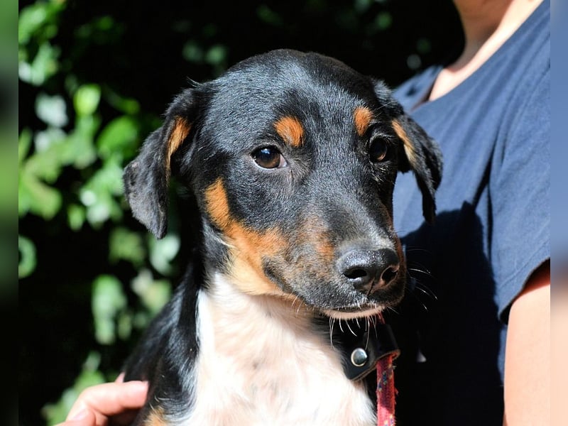 Zelia - Menschen zum Lachen bringen, das ist der Plan