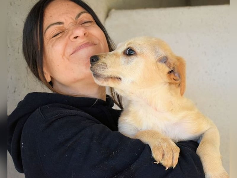 Sirette - ...und Sniffy halten zusammen