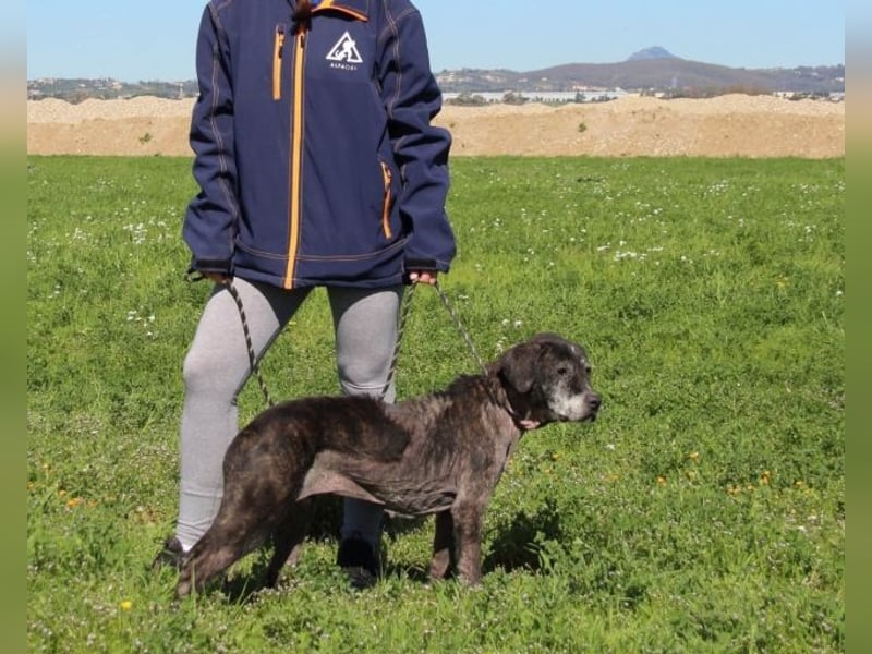 Gweni - SOS - Hoffnung auf ein Ende der Odyssee