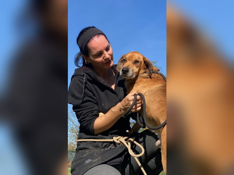 Houdini - Sind Sie Houdinis Houdini?