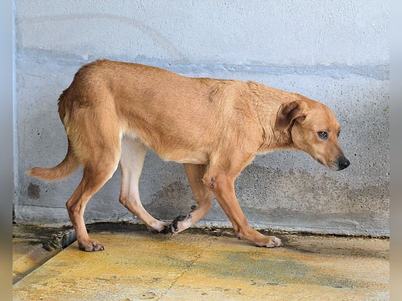 Idalee - Die Wunde namens Zeit