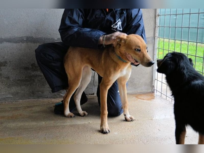 Idalee - Die Wunde namens Zeit