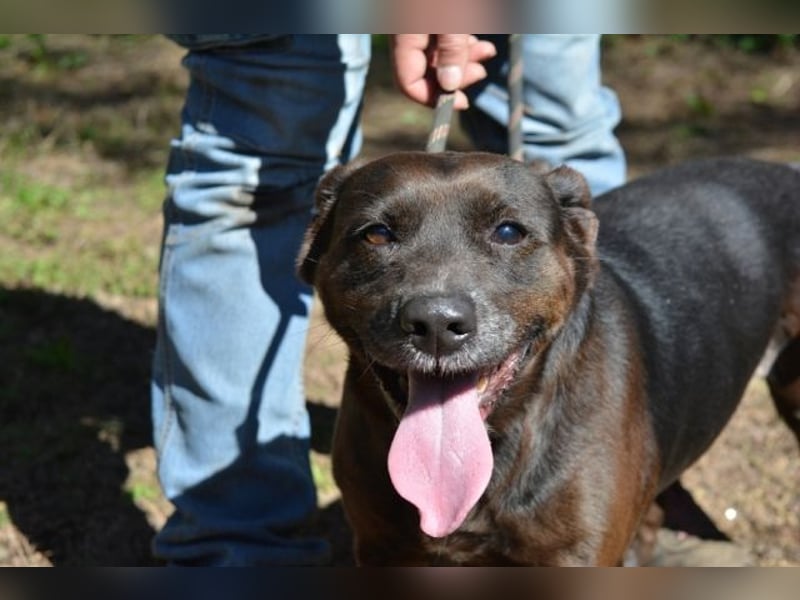 Rellyt - mit dem ganz besonderen Blick Rellyt - mit dem ganz besonderen Blick