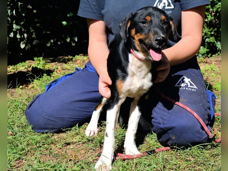 Zelia - Menschen zum Lachen bringen, das ist der Plan