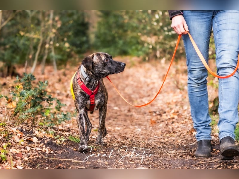 Branson - taut langsam auf und sucht Menschen mit Zeit