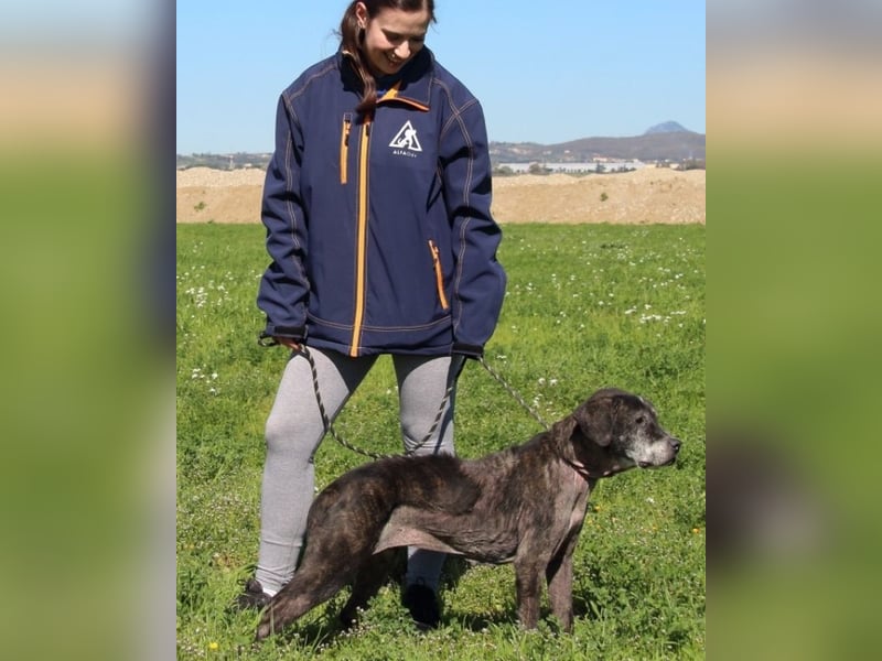 Gweni - SOS - Hoffnung auf ein Ende der Odyssee