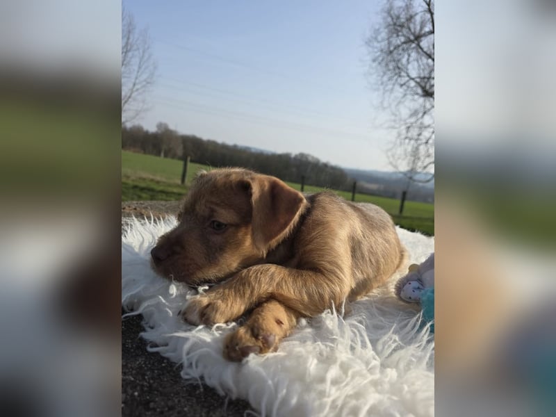 Lumi - Also ehrlich, wir sind doch noch Babys!