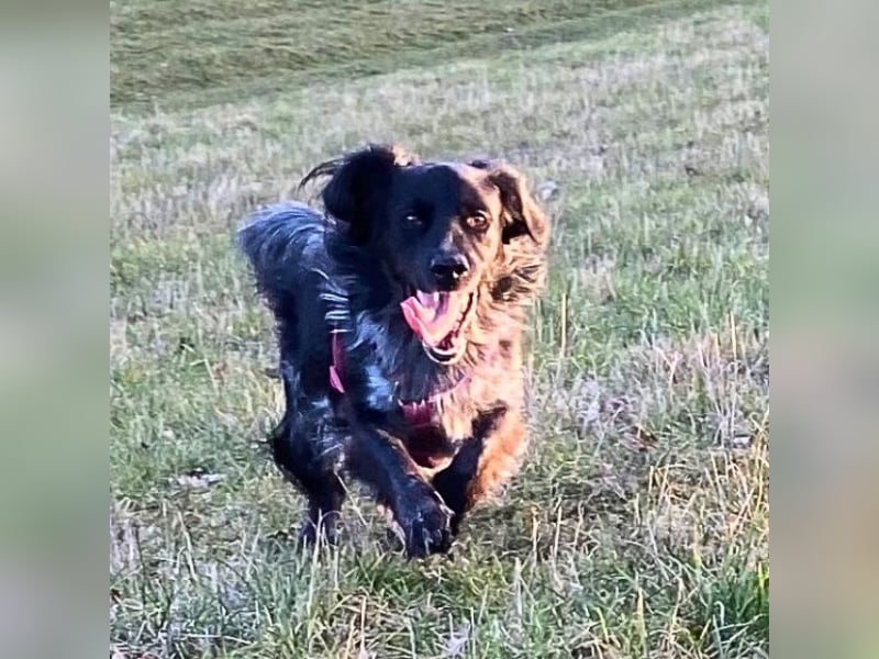 Wesley - wann geht es los? Wesley - wann geht es los?