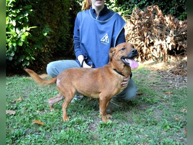 Monaldo - In der Ruhe liegt die Kraft!