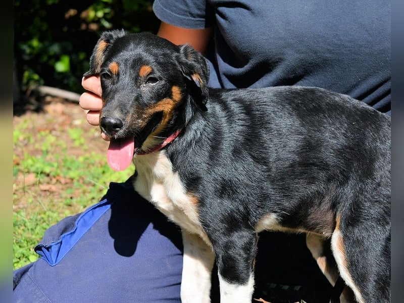 Zelia - Menschen zum Lachen bringen, das ist der Plan