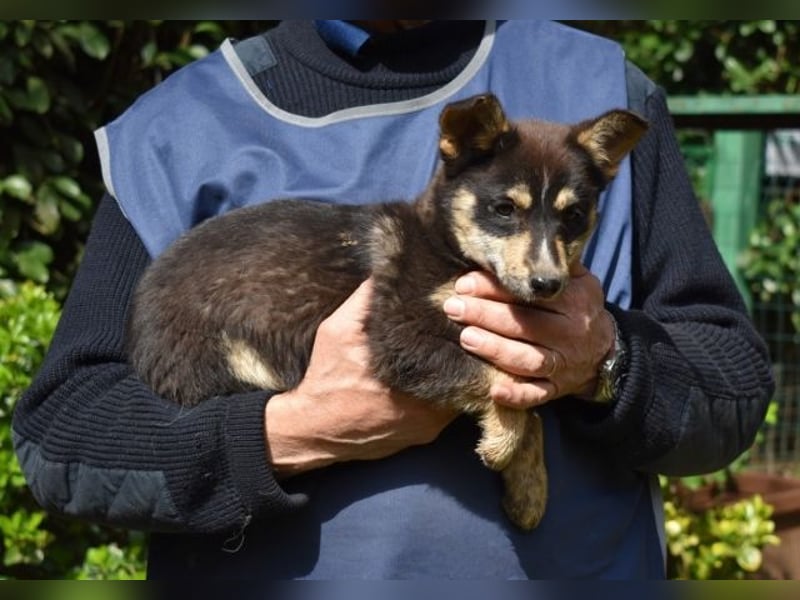 Vionella - Kuckuck...hallo...sind da draußen Menschen?