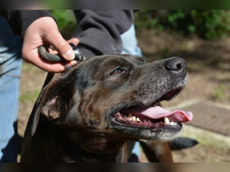 Rellyt - mit dem ganz besonderen Blick Rellyt - mit dem ganz besonderen Blick