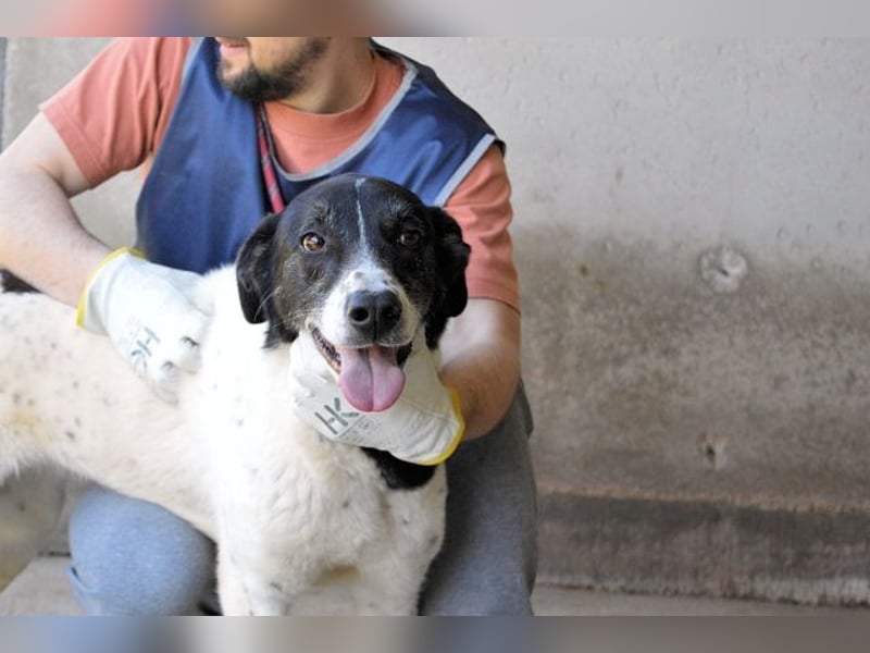 Lorianne - Diplomierte Zuhörerin sucht Sofa & Sonne