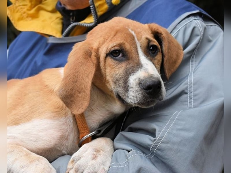 Waylo - Als Mama noch bei uns war