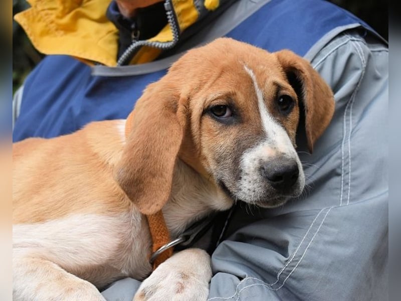 Waylo - Als Mama noch bei uns war