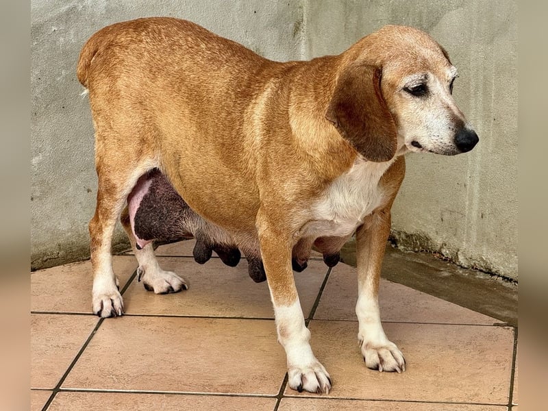Silke - Zehn Jahre Stärke, jetzt ist sie an der Reihe