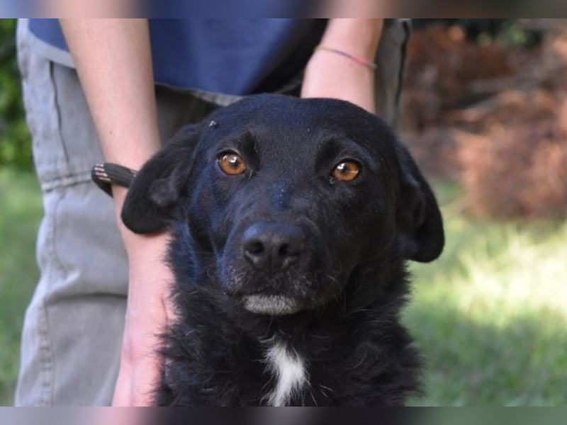 Rafeed - Möge der kleine Drache ihn beschützen