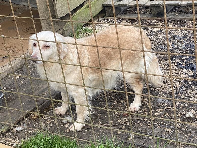 Ruby - wenn aus vorsichtigem Mut echtes Vertrauen wächst