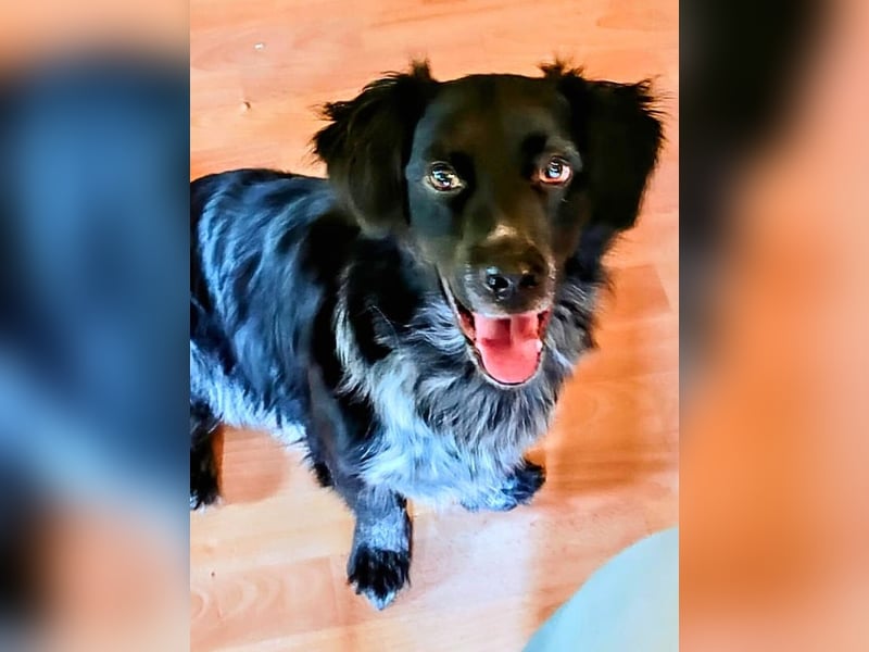 Wesley - wann geht es los? Wesley - wann geht es los?