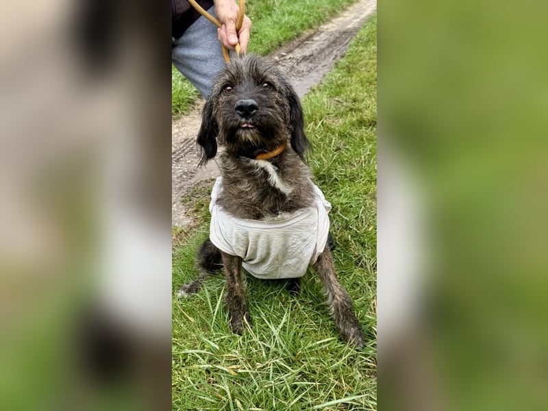 Estella - will dein Fixstern werden