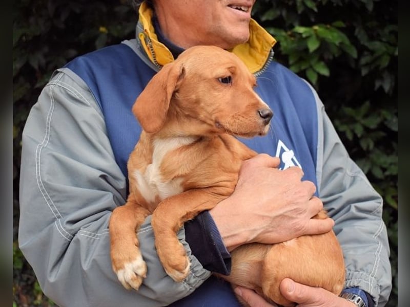 Wixelle - Als Mama noch bei uns war