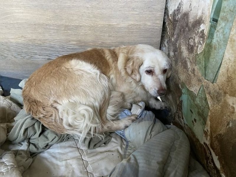 Ruby - Vom Dunkel ans Licht