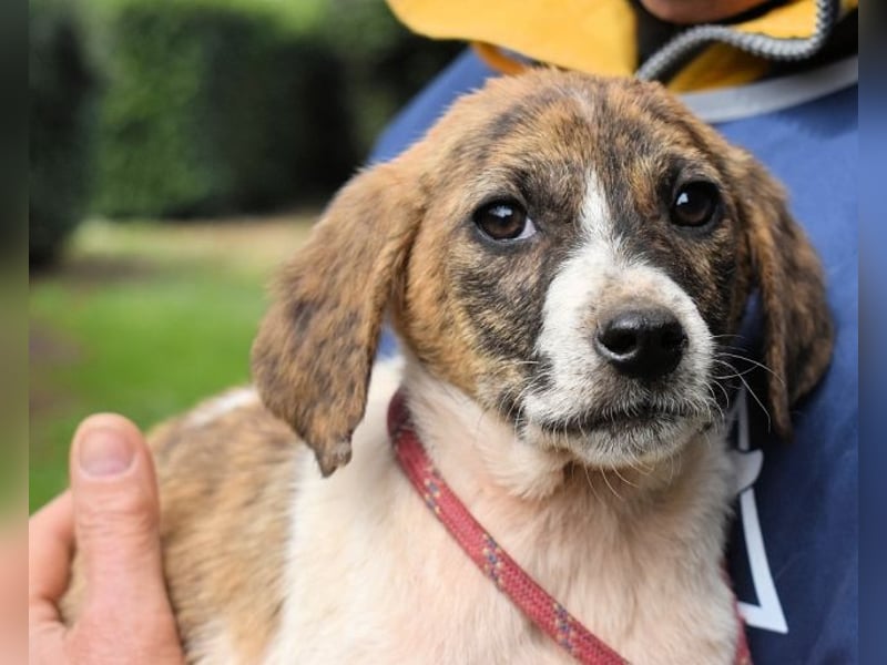 Woola - Als Mama noch bei uns war