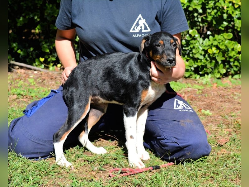 Zelia - Menschen zum Lachen bringen, das ist der Plan