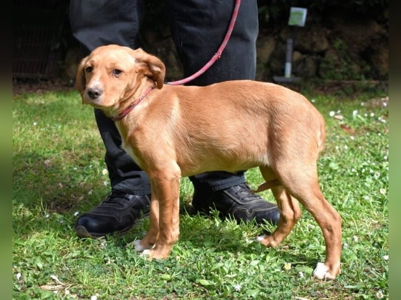 Wixelle - Als Mama noch bei uns war