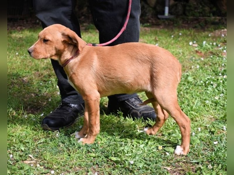 Wixelle - Als Mama noch bei uns war