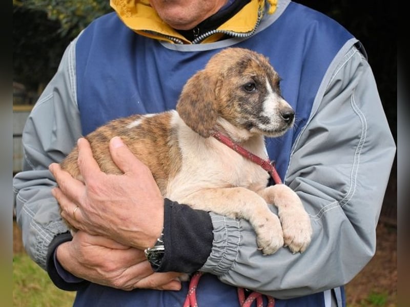 Woola - Als Mama noch bei uns war